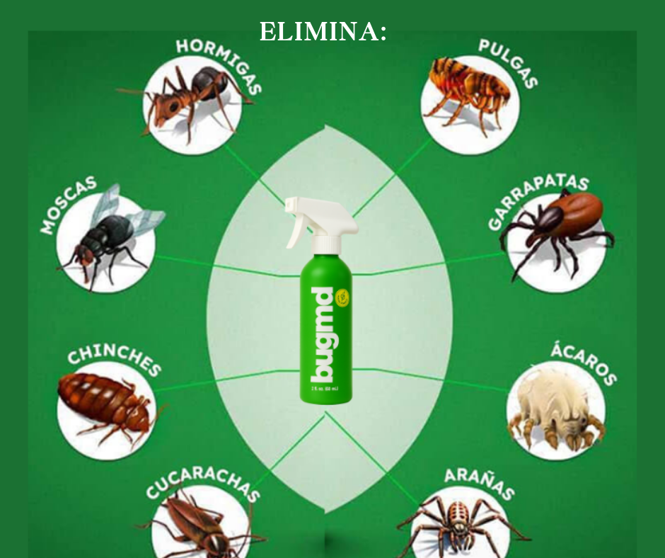 ESSENTIAL PEST:  SPRAY PARA CONTROL Y ELIMINACIÓN DE PLAGAS